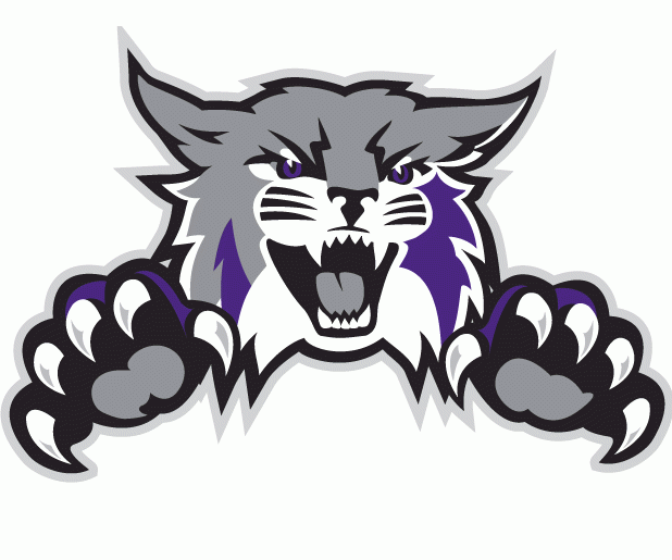 Weber State Wildcats 2012-Pres Alternate Logo iron on transfers for T-shirts